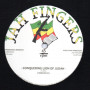 (12") VIBRONICS - CONQUERING LION OF JUDAH / DUB MIX