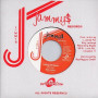 (7") NITTY GRITTY - LETTING OFF STREAM / VERSION
