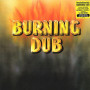 (LP) REVOLUTIONARIES - BURNING DUB (180g)