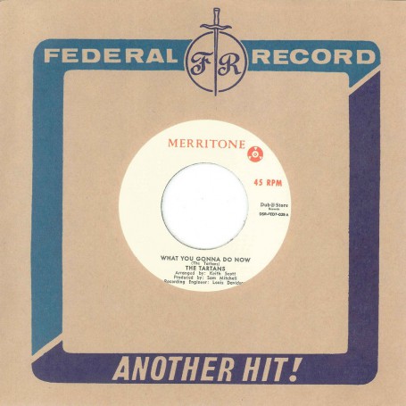 (7") THE TARTANS - WHAT YOU GONNA DO NOW / LYNN TAITT & THE JETS ‎– PATA PATA
