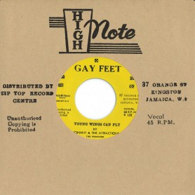 (7") JOHNNY & THE ATTRACTIONS ‎– YOUNG WINGS CAN FLY / YOUNG WINGS CAN FLY (ALTERNATIVE TAKE)