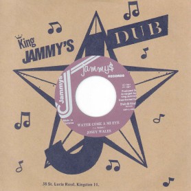 (7") JOSEY WALES - WATER COME A MI EYE / ADMIRAL BAILEY ‎– MI AH DE DANGER