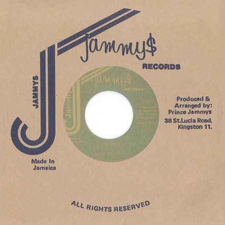 (7") ECHO MINOTT ‎– I AM BACK / VERSION