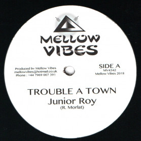 (12") JUNIOR ROY - TROUBLE A TOWN / MURRAY MAN / FORWARD HOME