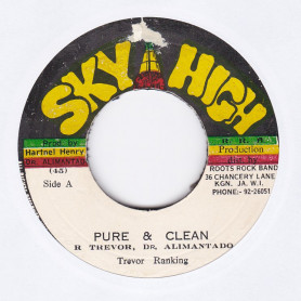 (7") TREVOR RANKING - PURE & CLEAN / ROCK BAND - NICE & NASTY