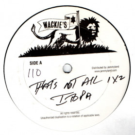 (12") FABIAN COOKE & ITOPIA - THAT'S NOT ALL / SING A SONG