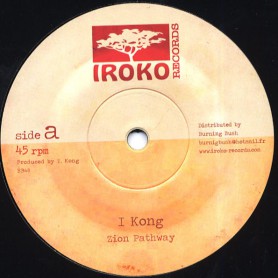 (12") I KONG - ZION PATHWAY / TAKE A HOLD