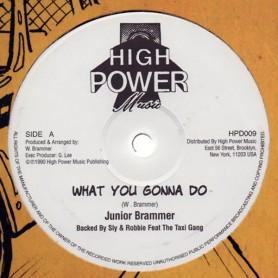 (12") JUNIOR BRAMMER - WHAT YOU GONNA DO / GENERAL LEE - SLAM SLAM