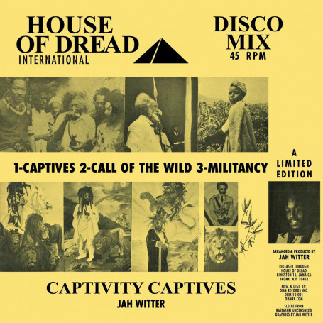 (10") JAH WITTER & ROOTS UNDERGROUND - CAPTIVITY CAPTIVES