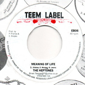 (7") THE HEPTONES - MEANING OF LIFE / VERSION