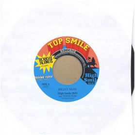 (7") HIGH SMILE HIFI Feat TENNA STAR - RIGHT NOW / FAMILY