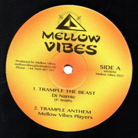(12") DI NAMIC - TRAMPLE THE BEAST / MURRAY MAN - THERE'S A FIRE