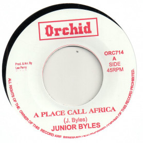 (7") JUNIOR BYLES - A PLACE CALL AFRICA / THE UPSETTERS - VERSION