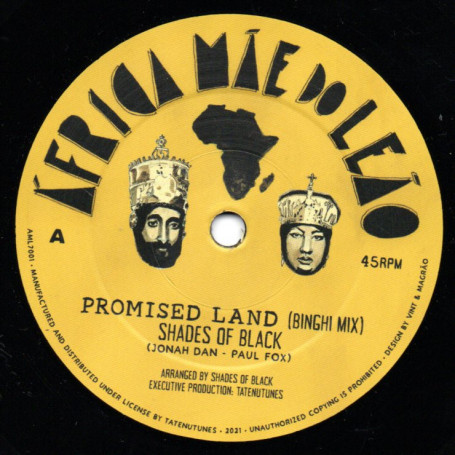 (7") SHADES OF BLACK - PROMISED LAND / PROMISED DUB