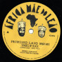 (7") SHADES OF BLACK - PROMISED LAND / PROMISED DUB