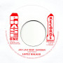 (7") LOPEZ WALKER - JAH JAH NEW GARDEN / PHASE ONE ALL STARS - VERSION