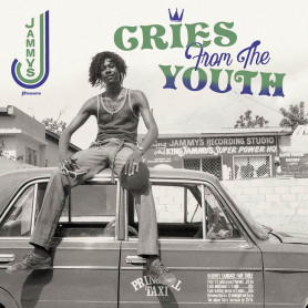 (LP) VARIOUS ARTISTS - CRIES FROM THE YOUTH