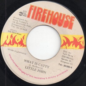(7") LITTLE JOHN - WHAT IS CATTY / VERSION