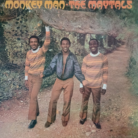 (LP) THE MAYTALS - MONKEY MAN