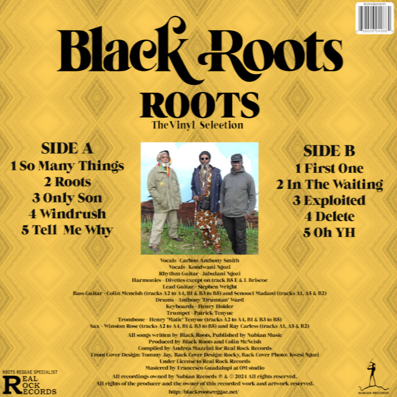 LP) BLACK ROOTS - ROOTS