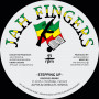 (12") ALPHA & OMEGA Feat NISHKA - STEPPING UP / DUB MIX 1 / DUB MIX 2