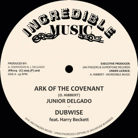 (12") JUNIOR DELGADO - ARK OF THE COVENANT / HARRY BECKETT- DUB VERSION / JUNIOR DELGADO - CRY OF THE DESTITUTE / DUB VERSION