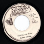 (7") HUGH MUNDELL - ONE JAH AIM & DESTINY / ROCKERS ALL STARS - NICE UP THE WORLD