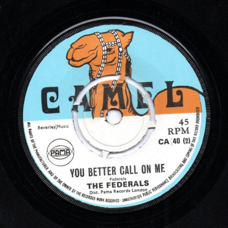 (7") THE FEDERALS - IN THIS WORLD / YOU BETTER CALL ON ME