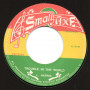 (7") L. HARRIS - TROUBLE IN THE WORLD / VERSION