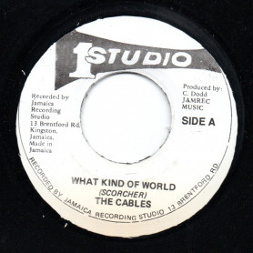 (7") THE CABLES - WHAT KIND OF WORLD / CABLES & SOUND DEMENSION - WAT KIND OF WORLD VERSION