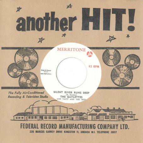 (7") THE GAYLETTES - SILENT RIVER RUNS DEEP / I LIKE YOUR WORLD