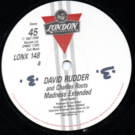 (12") DAVID RUDDER & CHARLIES ROOTS - MADNESS EXTENTED / PERMISSION TO MASH UP THE PLACE / BAHIA GIRL (GYAL)