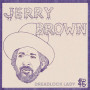 (12") JERRY BROWN - DREADLOCK LADY / LADY DUB