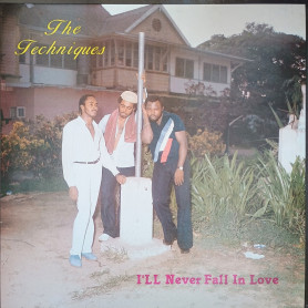 (LP) THE TECHNIQUES - I'LL NEVER FALL IN LOVE