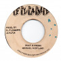 (7") MICHAEL SCOTLAND - WHAT IS WRONG / VERSION