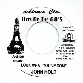 (7") JOHN HOLT - LOOK WHAT YOU'VE DONE / LENNOX BROWN - TAKE A LOOK