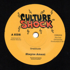 (7") SHAYNE AMANI - GRATITUDE / THE DUB CHRONICLES - VERSION