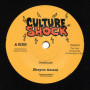 (7") SHAYNE AMANI - GRATITUDE / THE DUB CHRONICLES - VERSION