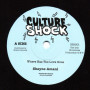 (7") SHAYNE AMANI - WHERE HAS THE LOVE GONE / THE DUB CHRONICLES - DUBWISE