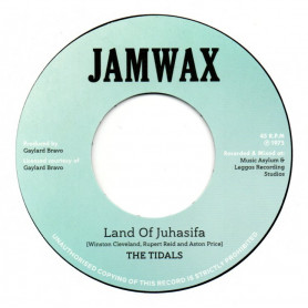 (7") THE TIDALS - LAND OF JUHASIFA / THE SOUL SYNDICATE - ASIFA DUB