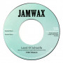 (7") THE TIDALS - LAND OF JUHASIFA / THE SOUL SYNDICATE - ASIFA DUB