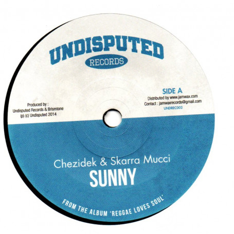 (7") CHEZIDEK & SKARRA MUCCI - SUNNY / MARINA P - I WISH I WERE THAT GIRL
