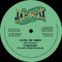 (12") D'NATIONS - LEVEL DE VIBES / VIBES VERSION