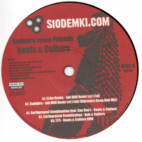 (12") ECHO RANKS - JAH WILL NEVER LET I FALL / EARTHGROUND COMBINATION Feat RAS DAN I - ROOTS & CULTURE