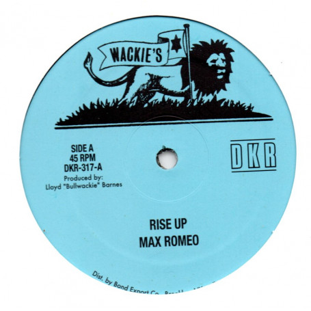 (12") MAX ROMEO - RISE UP / TYRON EVANS - RISE UP (LP VERSION)
