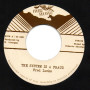 (7") FRED LOCKS - THE SYSTEM IS A FRAUD / THE 18th PARALLEL - DUB FRAUD