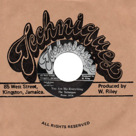 (7") THE TECHNIQUES - YOU ARE MY EVERYTHING / WHAT AM I DO