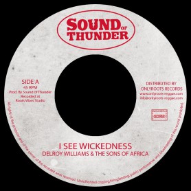 (7") DELROY WILLIAMS & THE SONS OF AFRICA - I SEE WICKEDNESS / Mr HAZE & THE SONS OF AFRICA - WISEST DUB