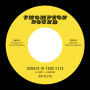(7") RAFEELYA - DANGER IN YOU EYES / THOMPSON SOUND - DUB IN YOUR EYES