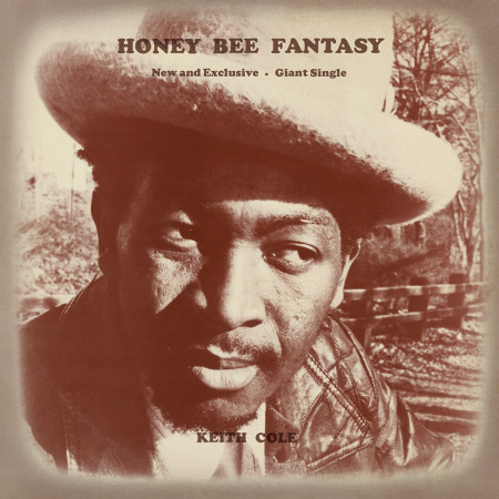 (12") KEITH COLE / ANN MARIE - HONEY BEE FANTASY / TOGETHER AGAIN